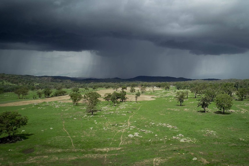 Rain falls from a dark rain cloud, over green paddocks.