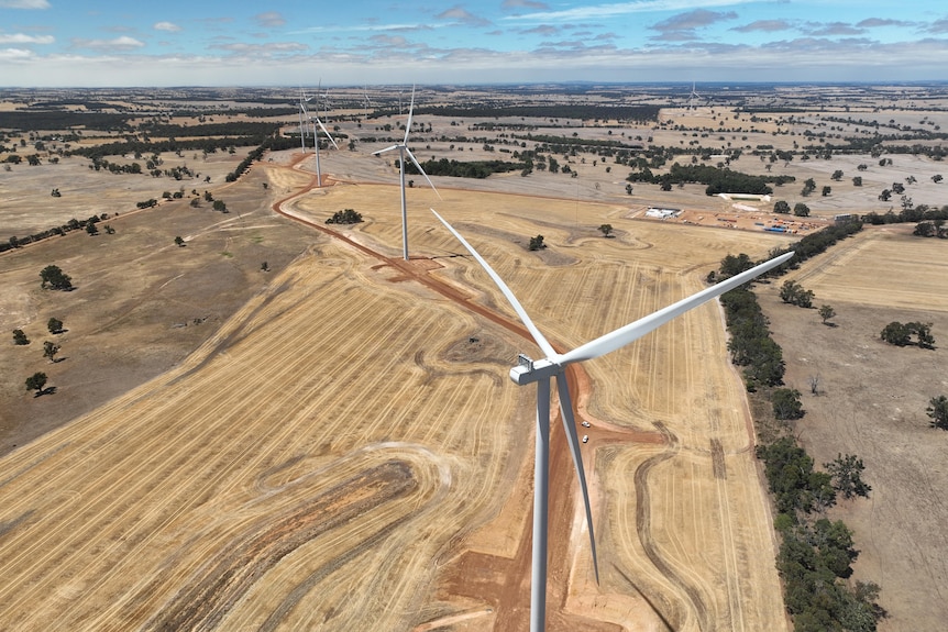 wind farm in paddocks