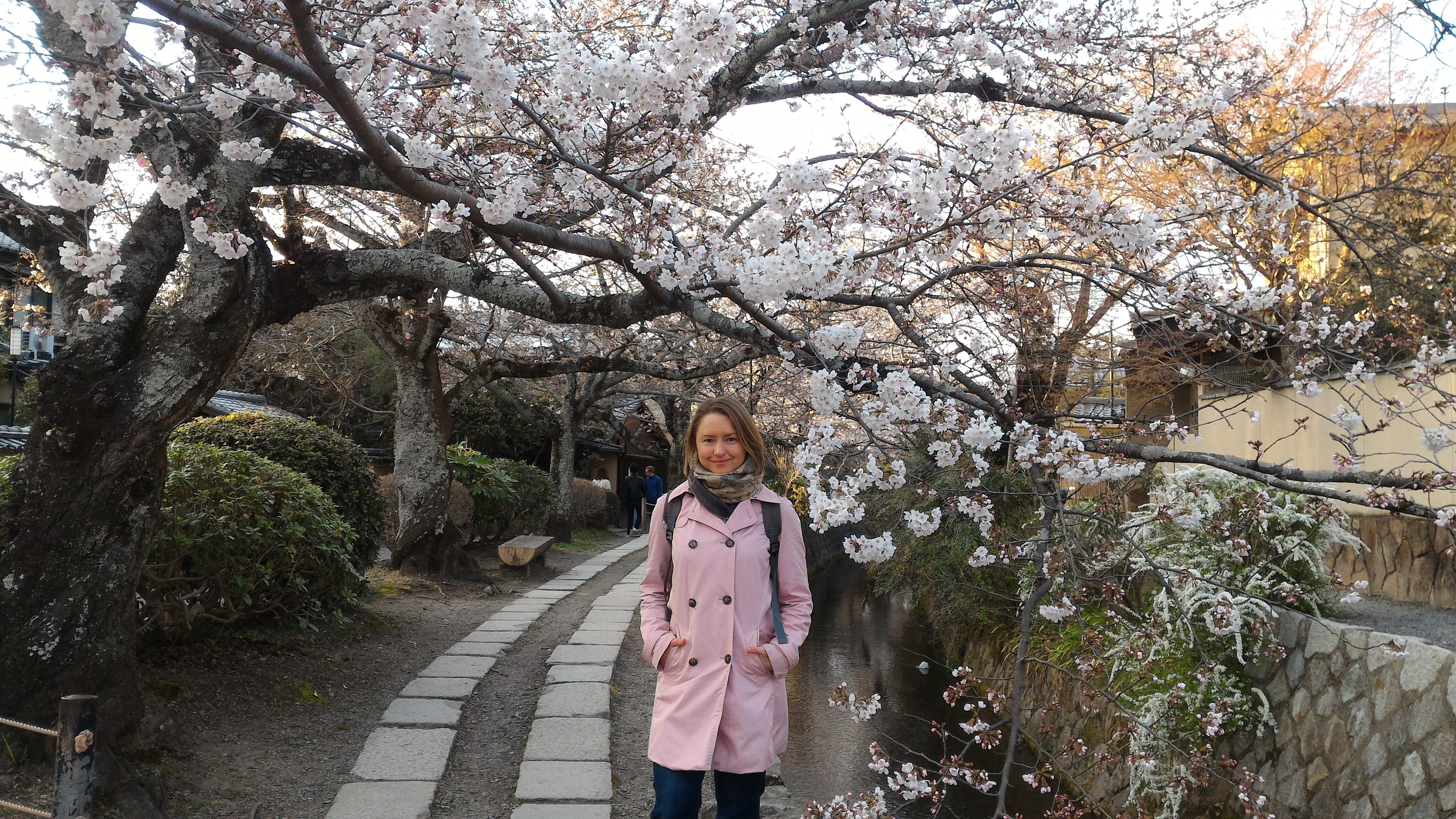 A young woman in a pink coat stands among a cherry blossom.
