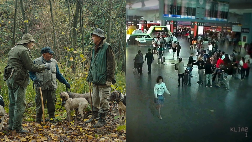 Documentaries about truffle hunting and the craziest murder of the 21st Century