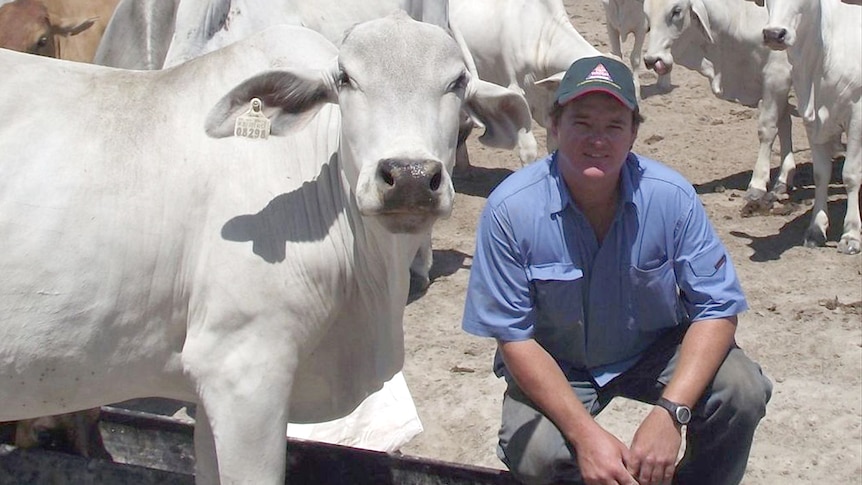 David Stoate, with heifer, Anna Plains, Kimberley, Western Australia