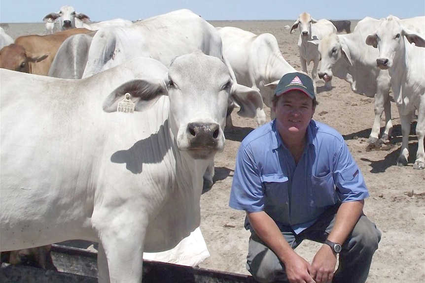 A man crouches down in front of his cattle in the Kimberley