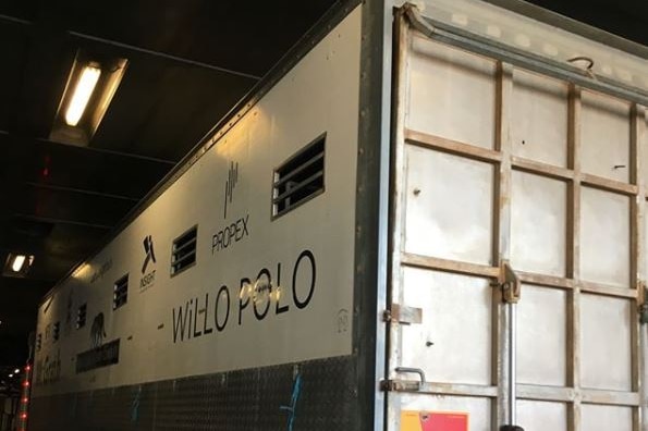 Horse transport truck parked on Spirit Of Tasmania ferry.