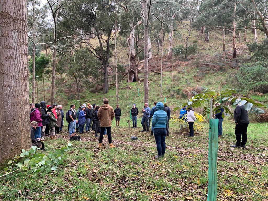 A group of people surrounded by native bushland 