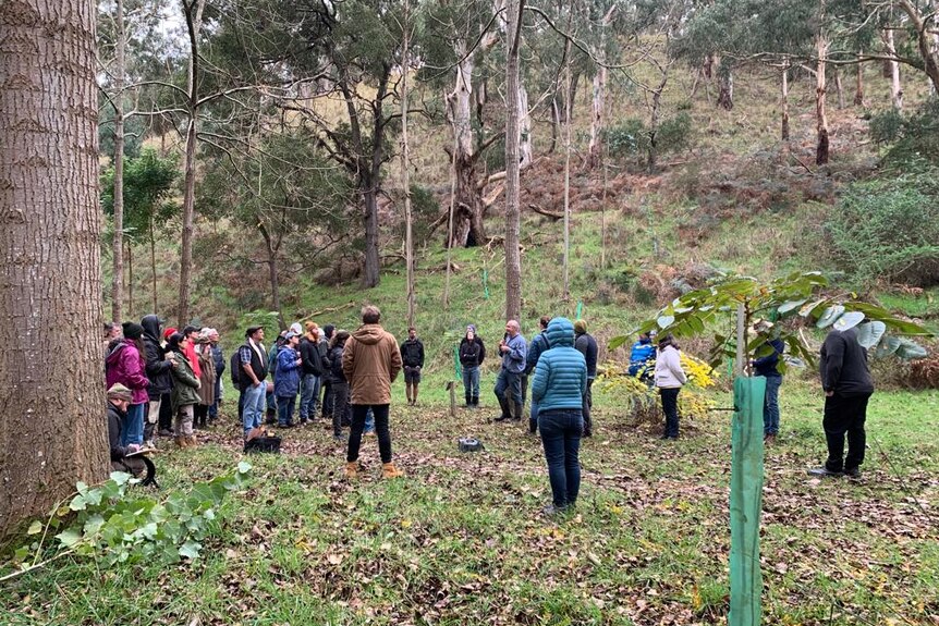 A group of people surrounded by native bushland 