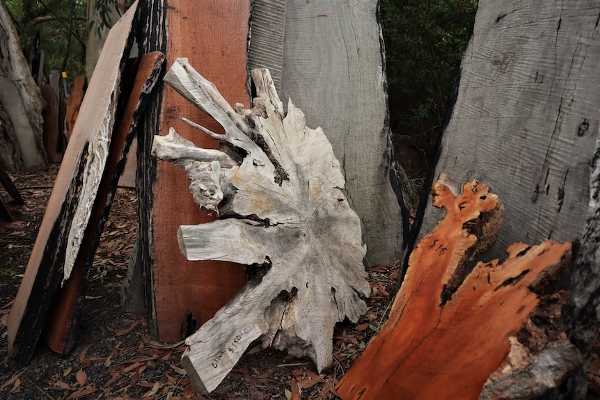 Light coloured timber piece leaning on red piece.