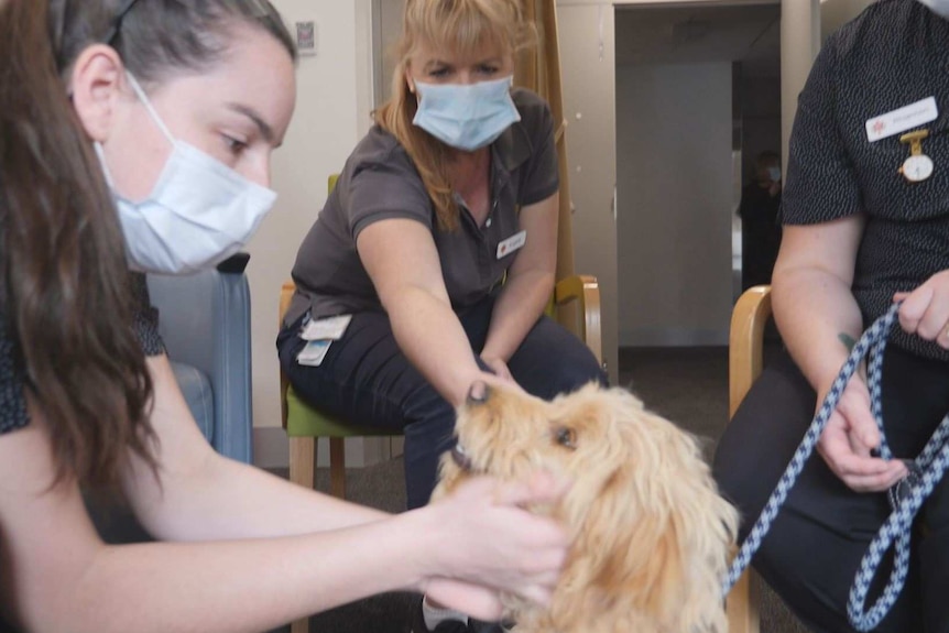 Renee Sheridan (left) says Rosie's visits always improve her day.