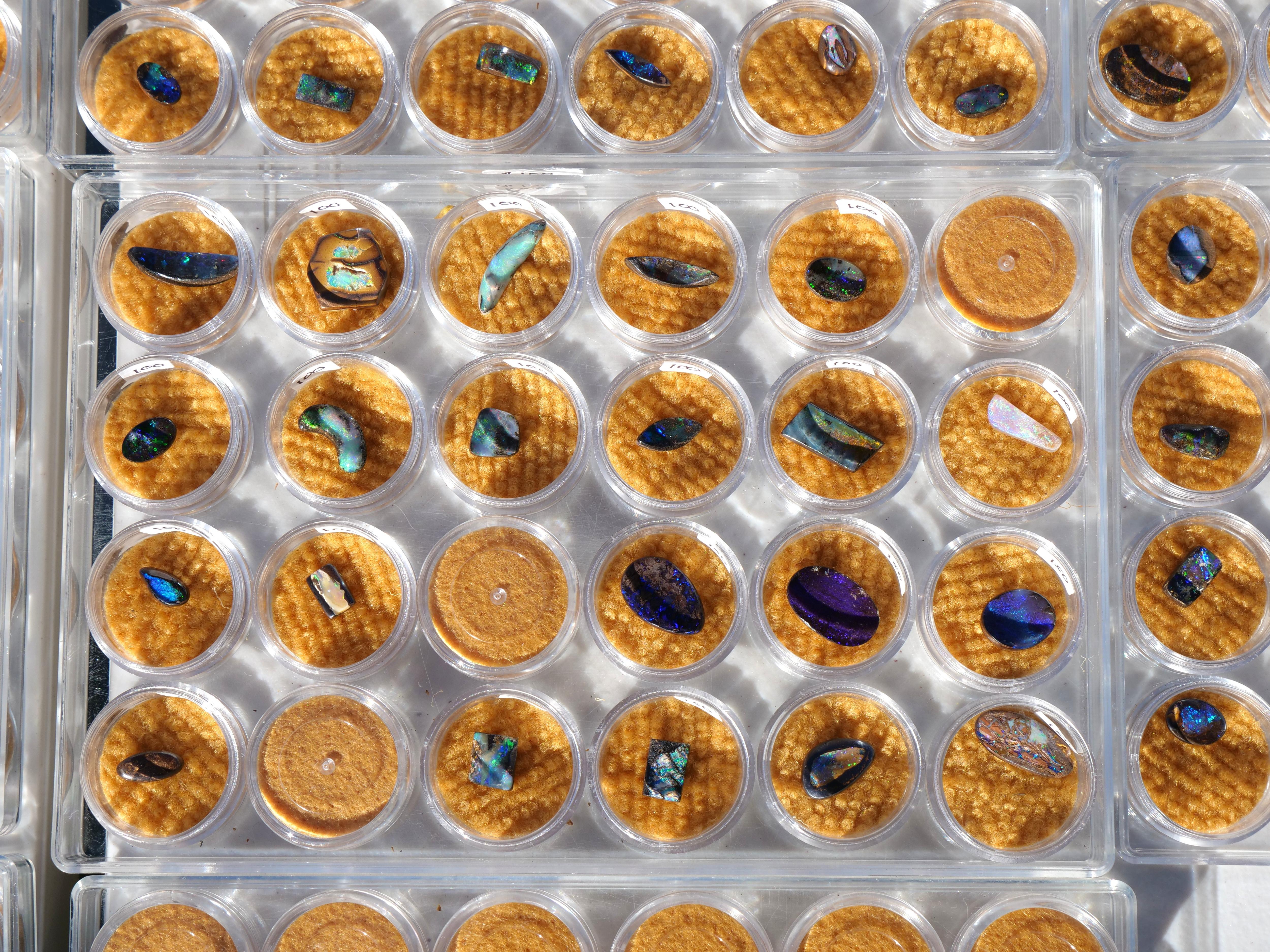A grid of small plastic dishes, each containing a different opal.