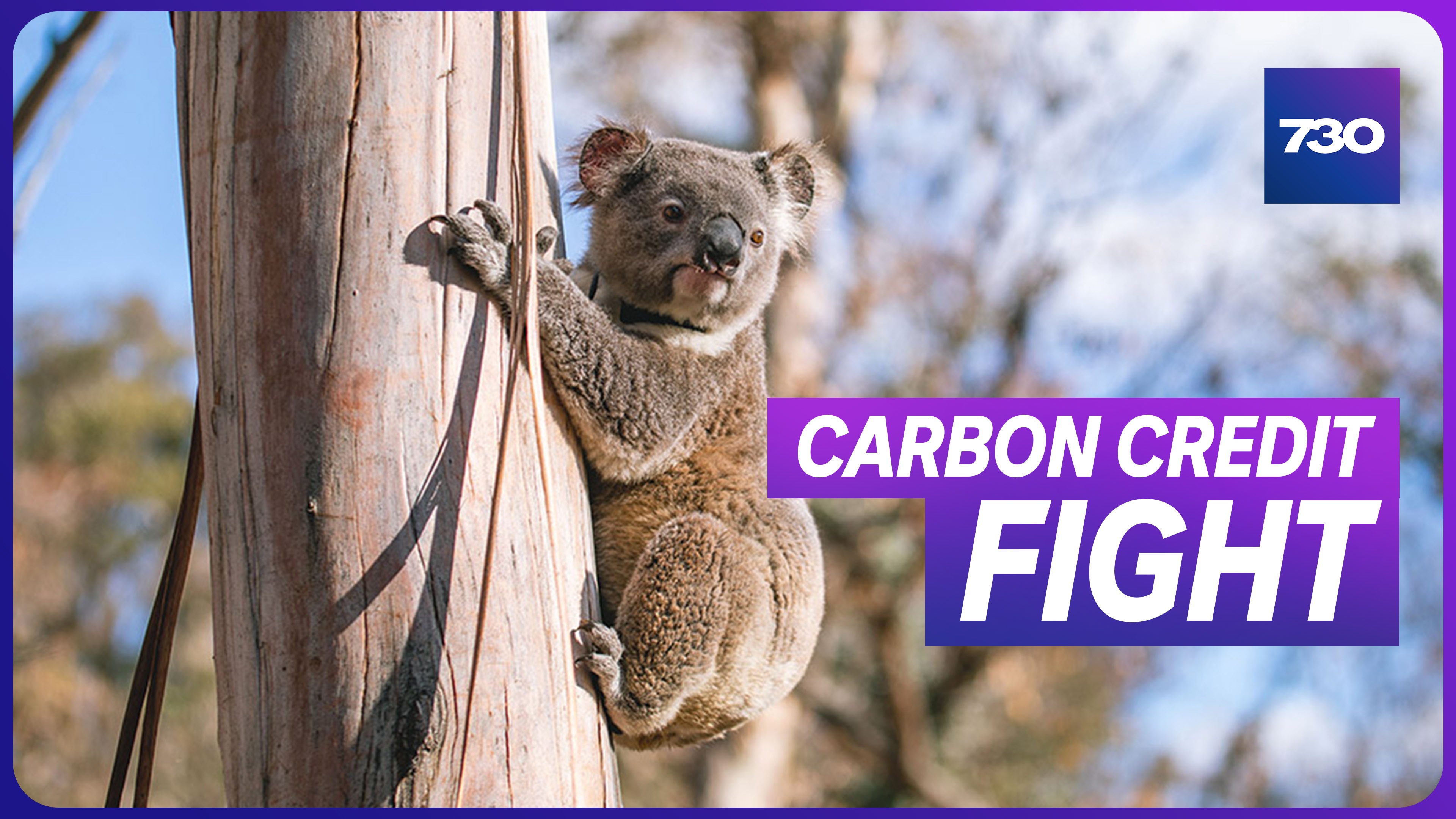 VIDEO: A fight over carbon credits tests the Greens