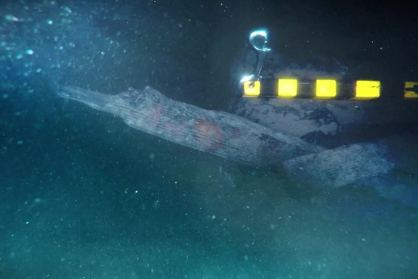 The remains of Endeavor under water