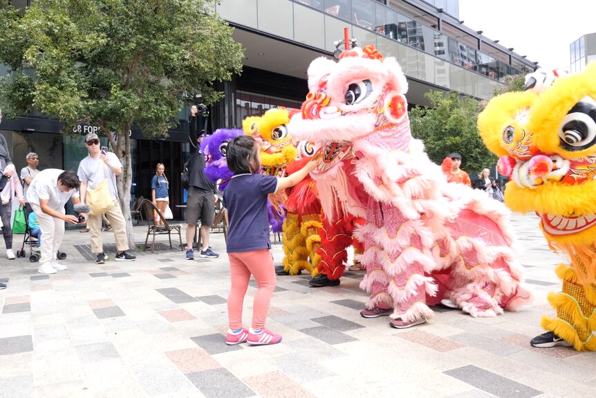 A child hands a packet into the mouth of a lion dancer