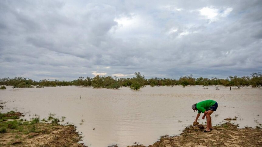 A man looks at floodwater in Richmond, north west Queensland.