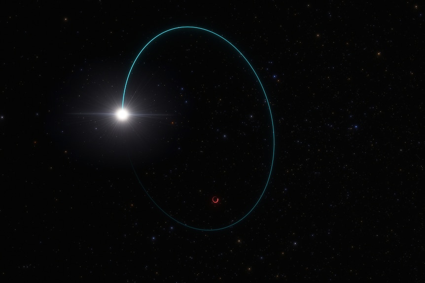 An impression of a star orbiting a black hole.