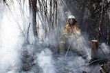 Firefighter takes a break during Tasmanian bushfires.