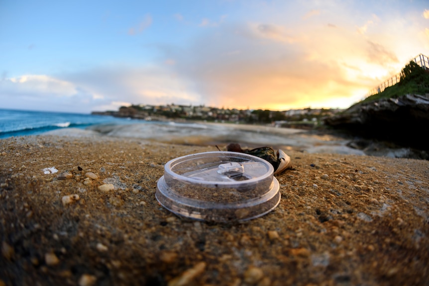  A plastic lid on a beach