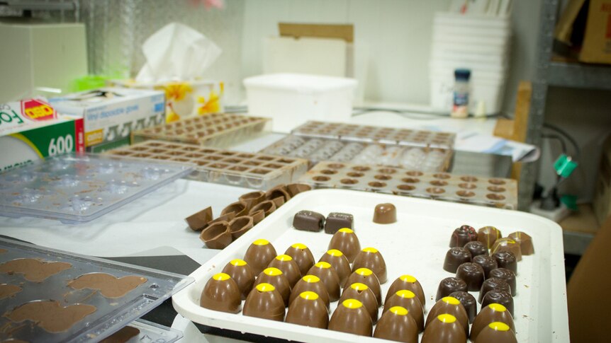 A tray with a variety of chocolates and empty moulds in background.