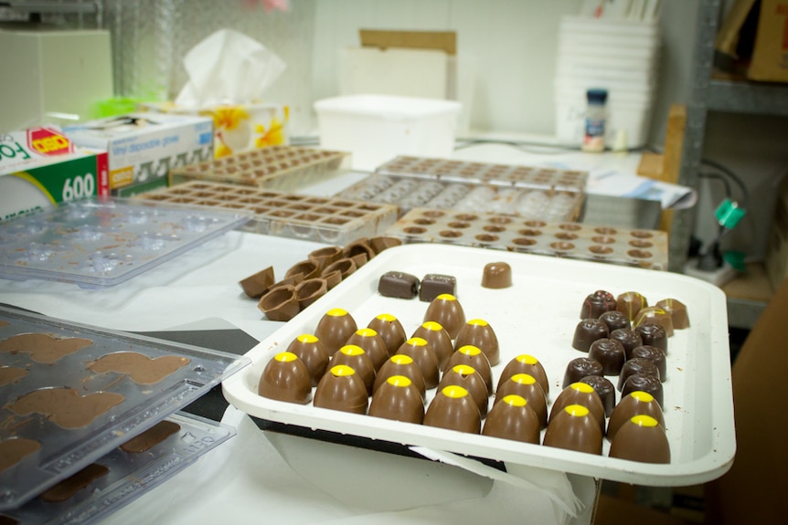 A tray with a variety of chocolates and empty moulds in background.