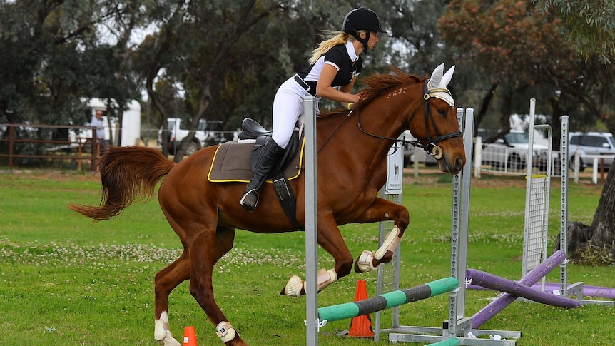 A woman riding a brown horse jumps over a show jumping obstacle. 