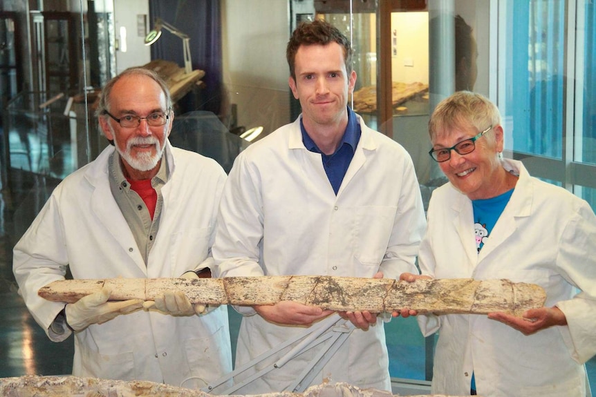 Gary Flewelling, Dr Tim Holland and Barb Flewelling holding a rib of Austrosaurus.