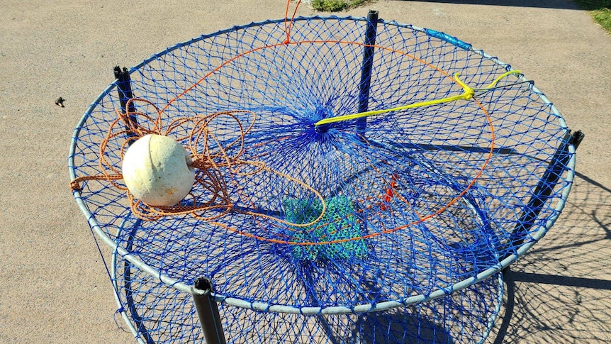 Crab traps now permitted in Lake Macquarie as part of new trial - ABC listen