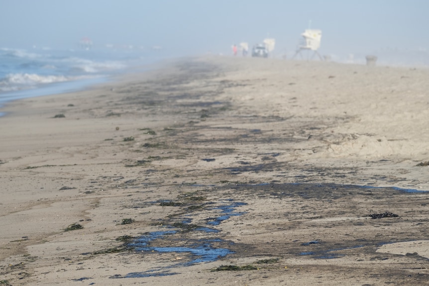 O linie lungă de ulei negru poate fi văzută peste plajă, paralelă cu apa în timp ce valurile împing apa alunecoasă la mal.