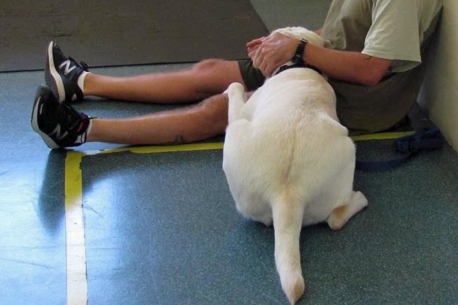 A cropped photo of prisoner sitting on the ground with dog on his lap.