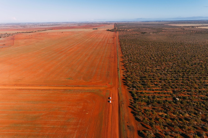 An aerial shot showing trees on one side of an outback road and barren red dirt paddocks on the other.