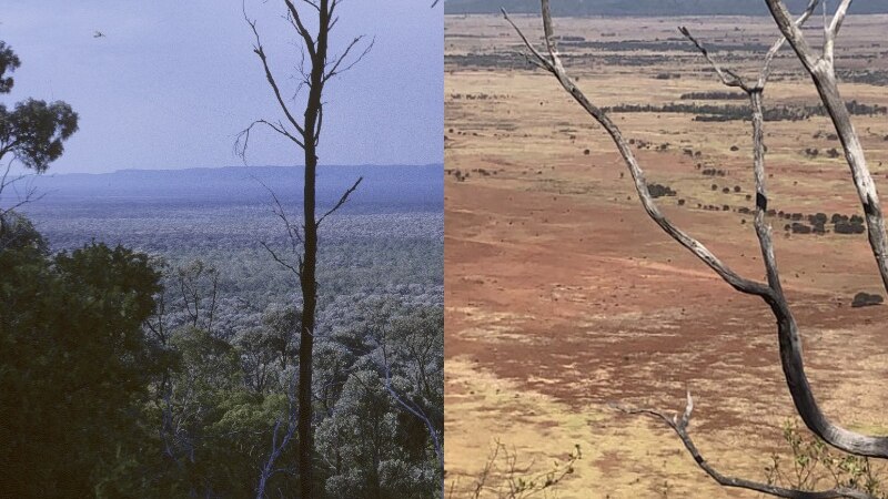 Two different images of the Arcadia Valley in central Queensland.
