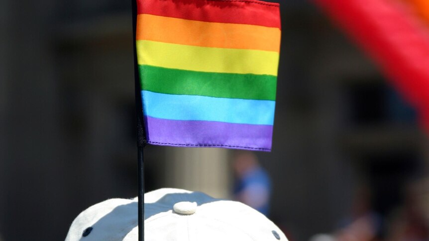 Rainbow flag in a man's hat at a gay pride march.