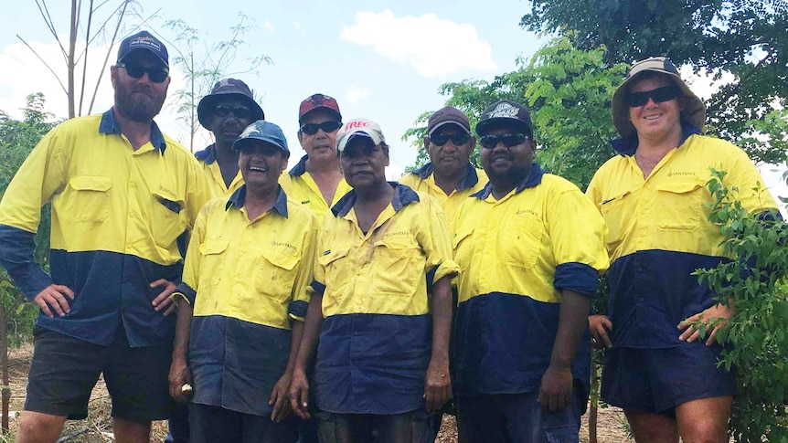 A group of indigenous employees standing in a sandalwood plantation.