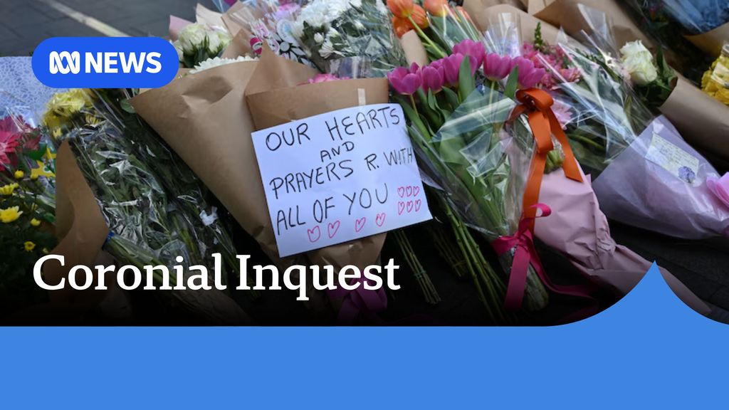 New details revealed in the Westfield Bondi Junction coronial inquest ...