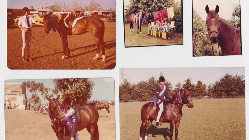 Several old scanned colour film photographs of a horse with its show ribbons.