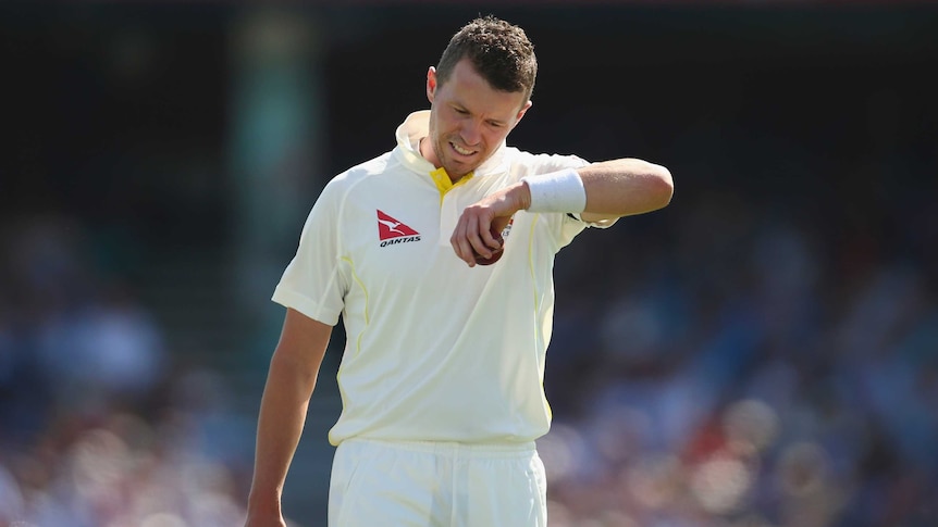 Australia's Peter Siddle prepares to bowl during day three of the fifth Ashes Test at The Oval.