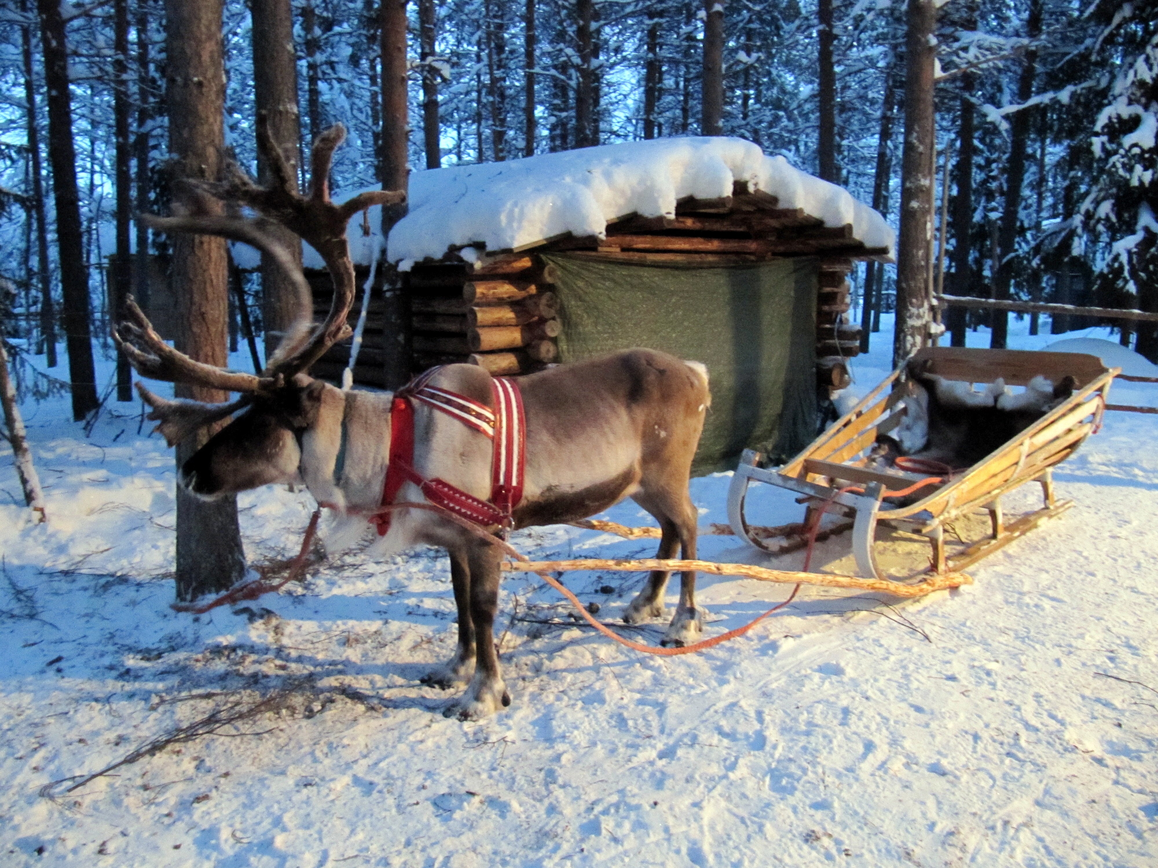 Sámi music in Arctic Finland - ABC listen