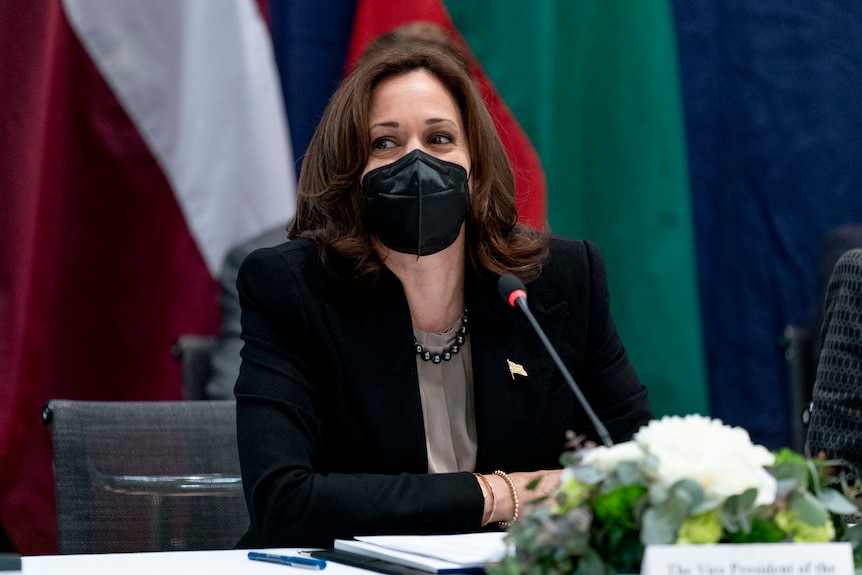US Vice President Kamala Harris speaks during a meeting while wearing a face mask