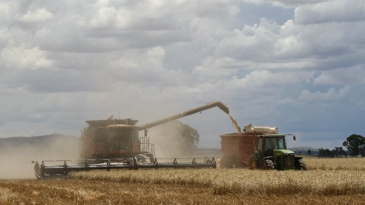 Weather continues to delay harvest in WA