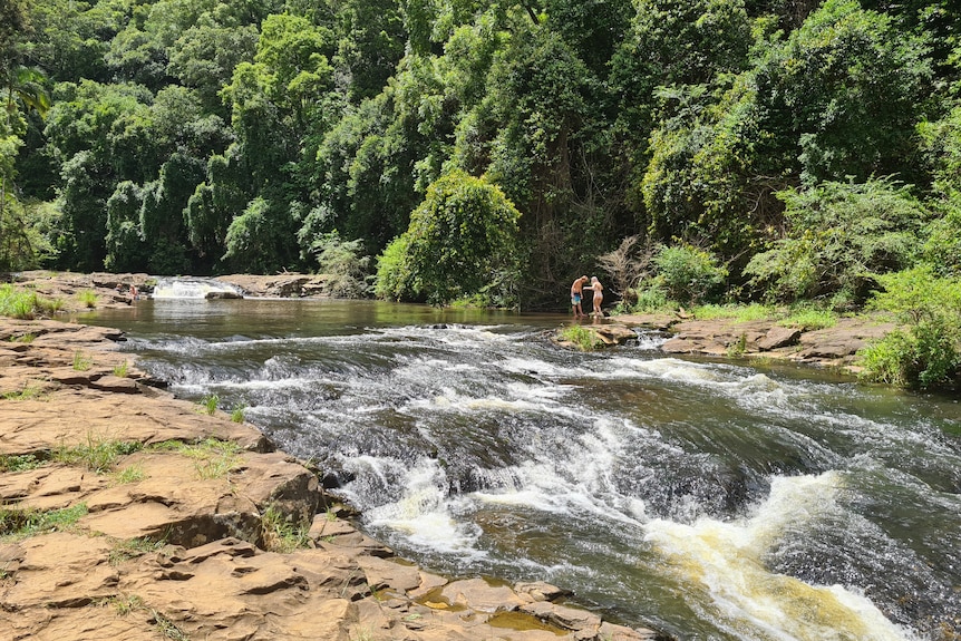 SC gardeners falls 2