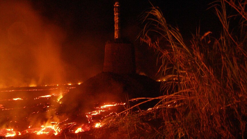 Lava flow from Hawaii's Kilauea volcano surrounds a power pole