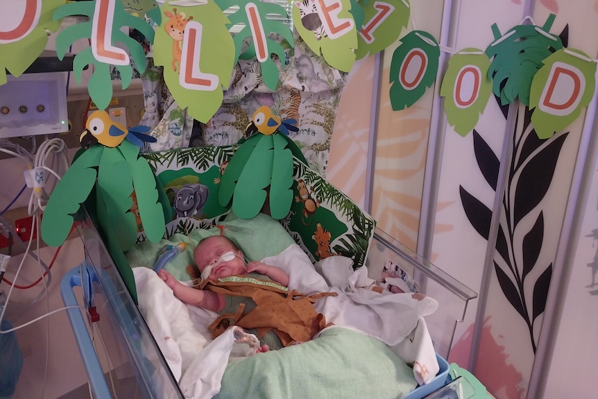 baby in a tarzan costume in a hospital bed 