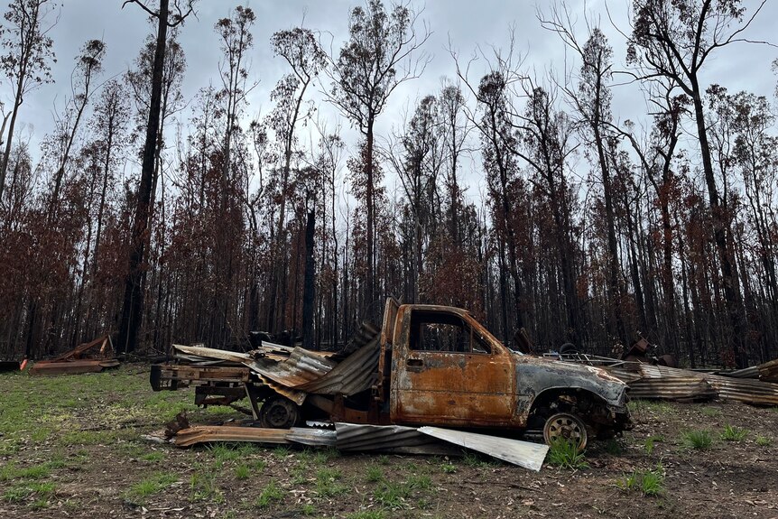 A burnt out ute with a burnt forest in the background