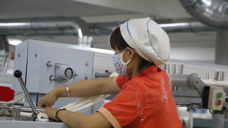 A worker inside a cotton processing plant