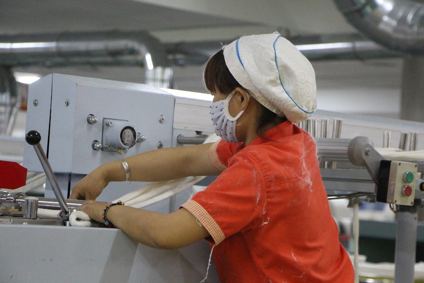 A worker inside a cotton processing plant