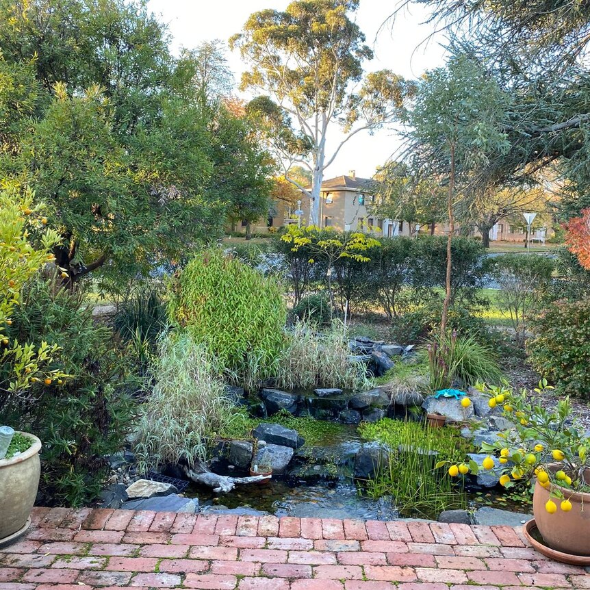 Sarah Reid's garden as of 2024
