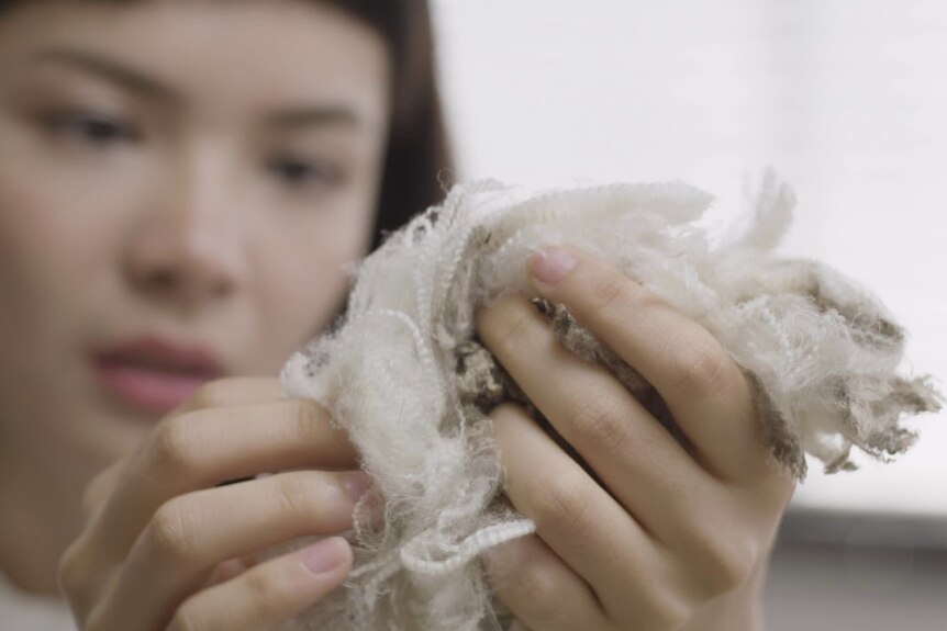 person holding merino wool