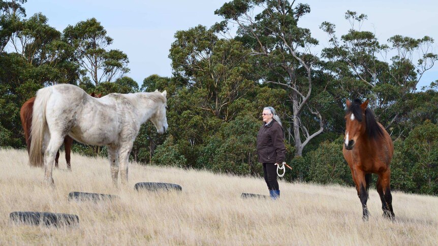 Woman standing on a grassy hill looking happy with three horses nearby