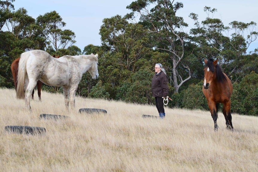 Woman standing on a grassy hill looking happy with three horses nearby