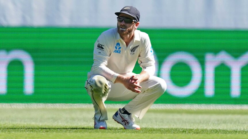 Kane Williamson looks up whilst crouching down on his haunches