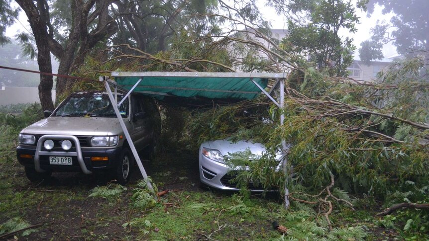 Falling trees crush a car port in Beaudesert in Sunday storms