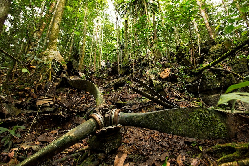 A large moss-covered propeller lying on a steep bank in a green rainforest