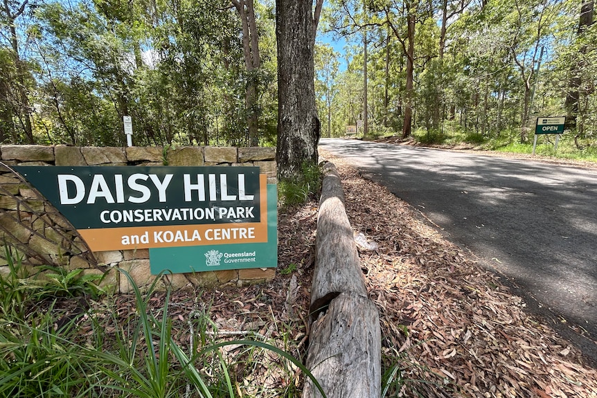 A picture of a sign that says 'Daisy Hill Conservation Park and Koala Centre' with trees and a road in the background.